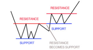 support lines